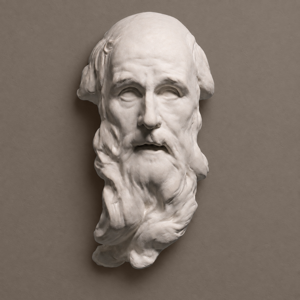 Advanced Cast Drawing: St. Andrew