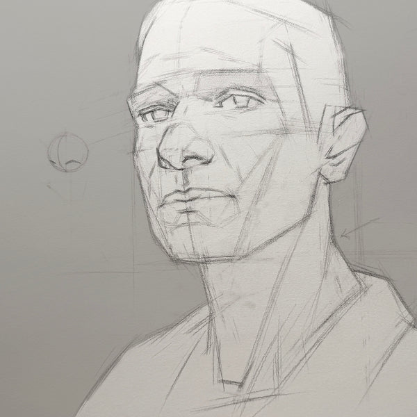 Ultimate Drawing Basics